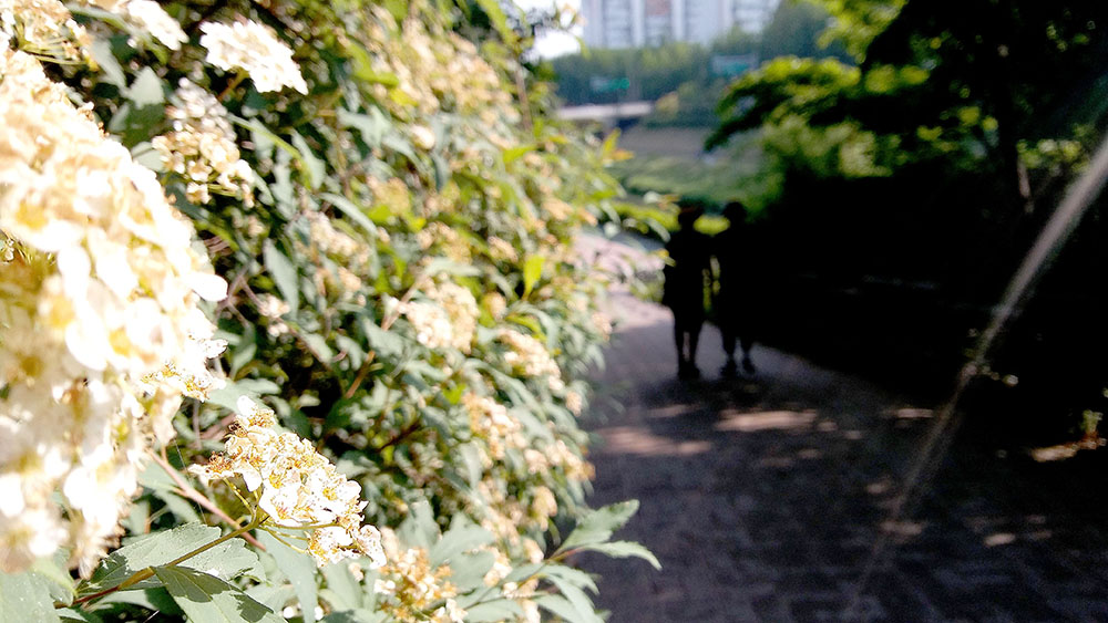 봉산·앵봉산
