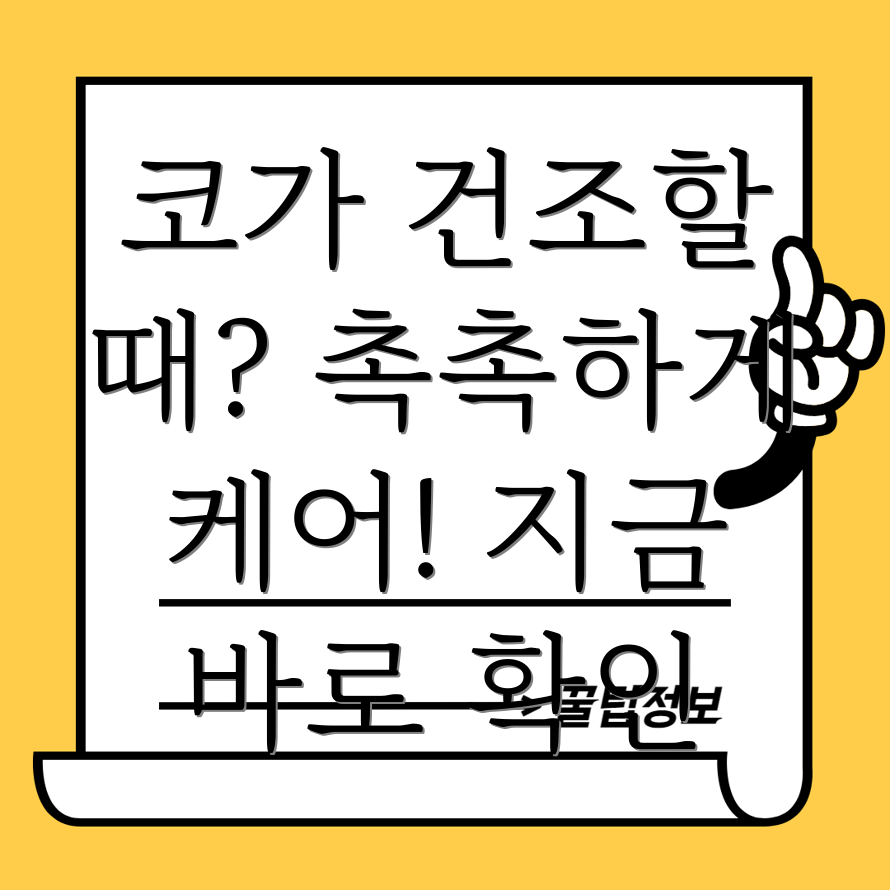 코 건조