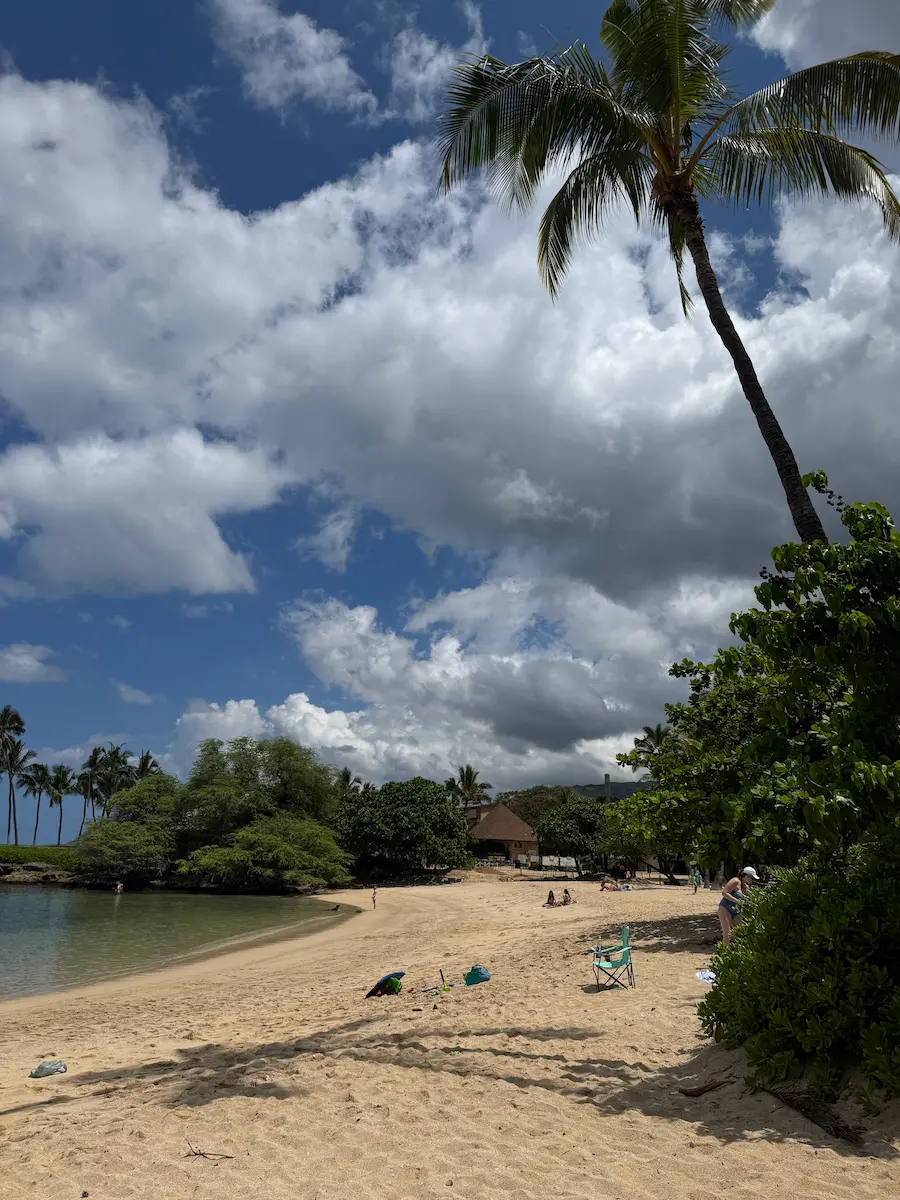 파라다이스 코브비치 해변