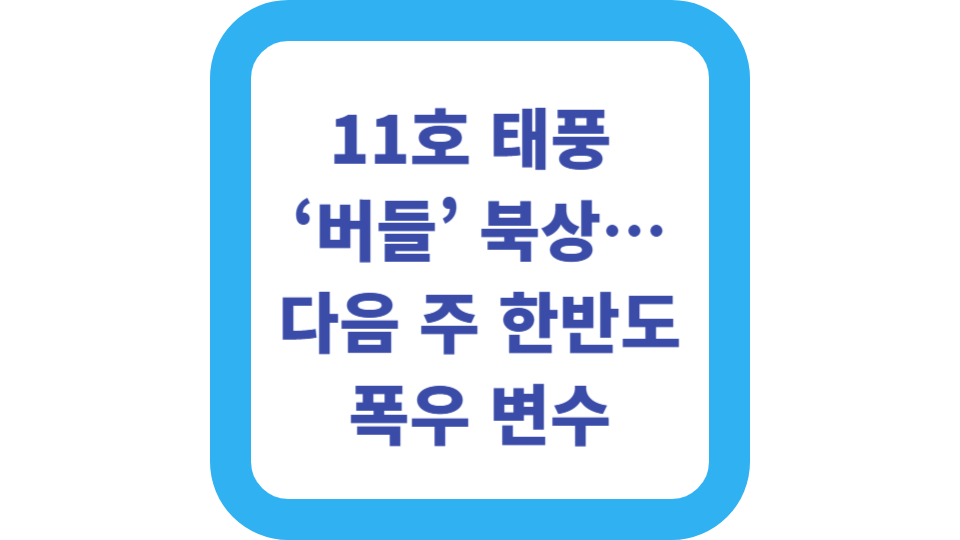 11호 태풍 ‘버들’ 북상…다음 주 한반도 폭우 변수 사진