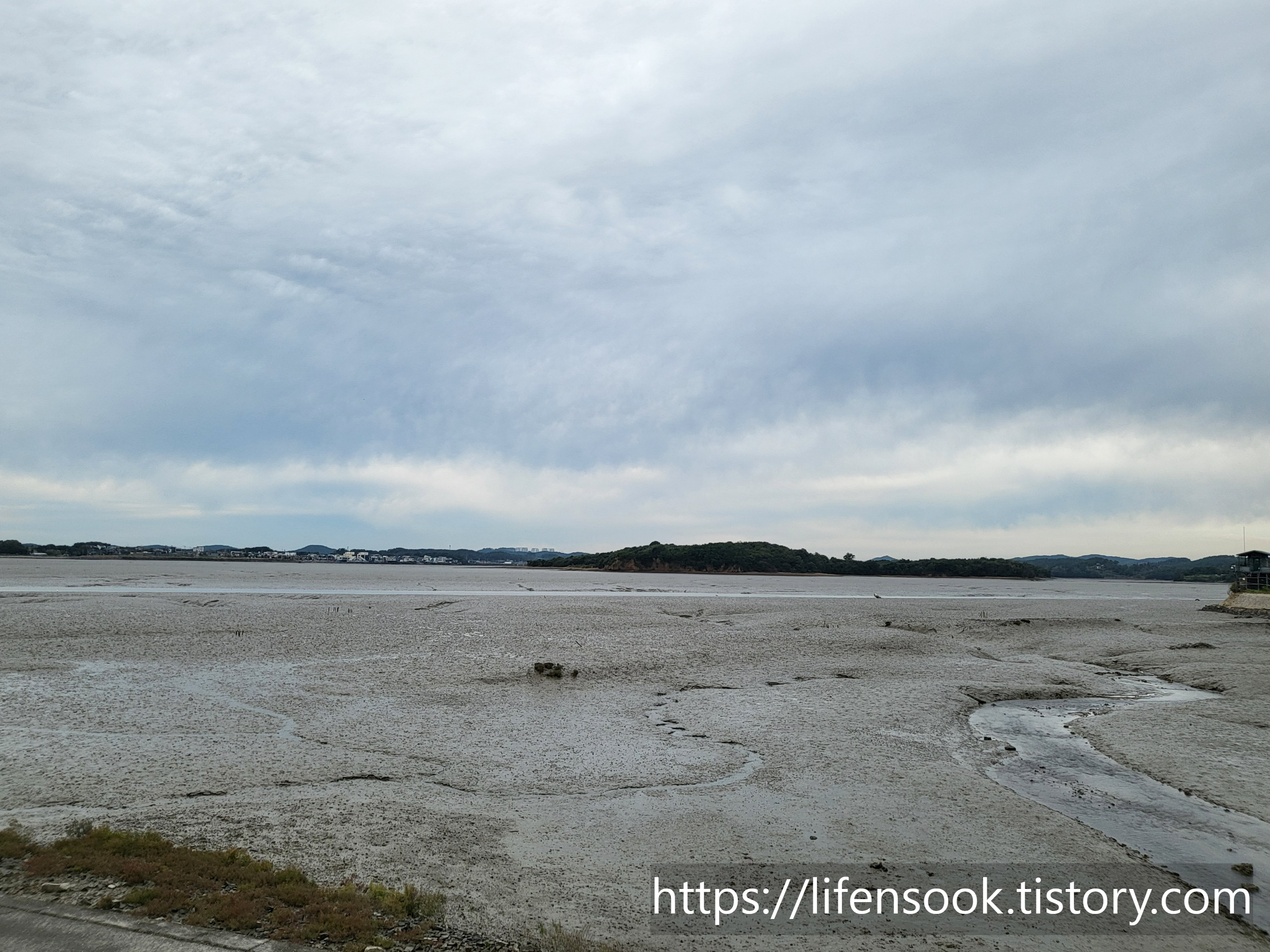 대부해솔길 6코스 선감항 제방 앞 갯벌 1