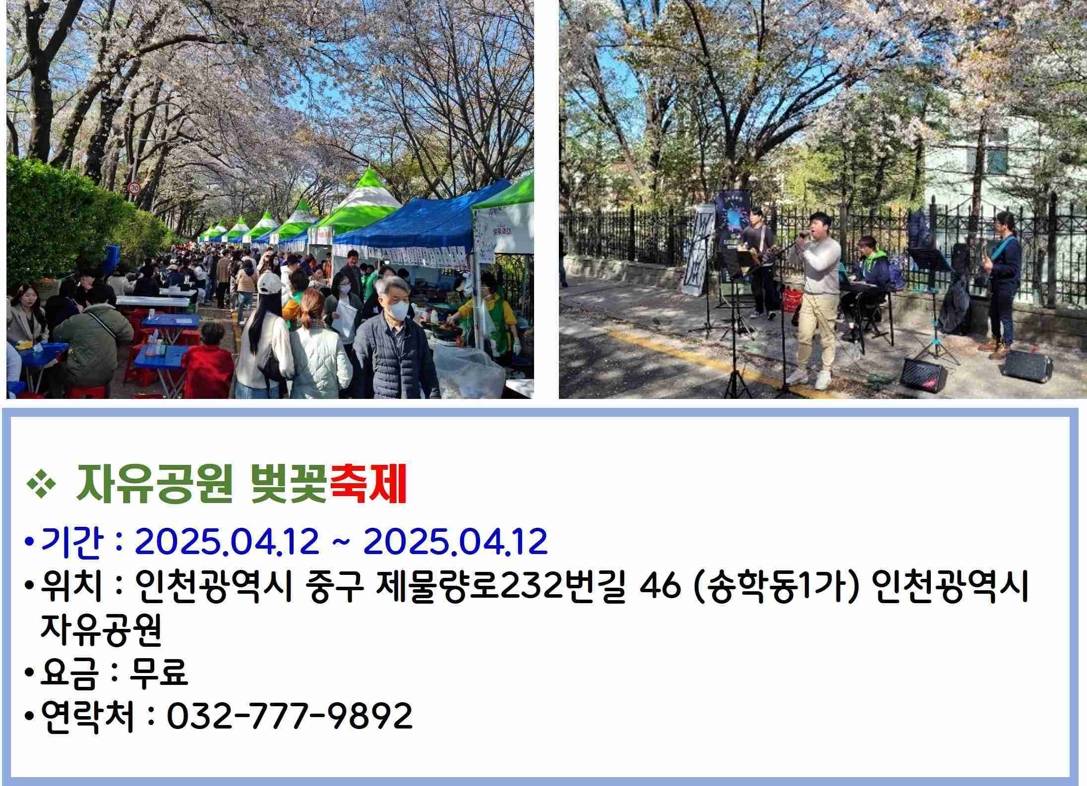 자유공원 벚꽃축제