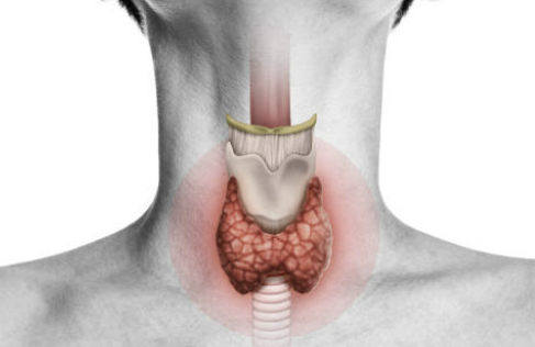 갑상선 기능 저하증 증상 좋은음식 수치 총정리(최신)
