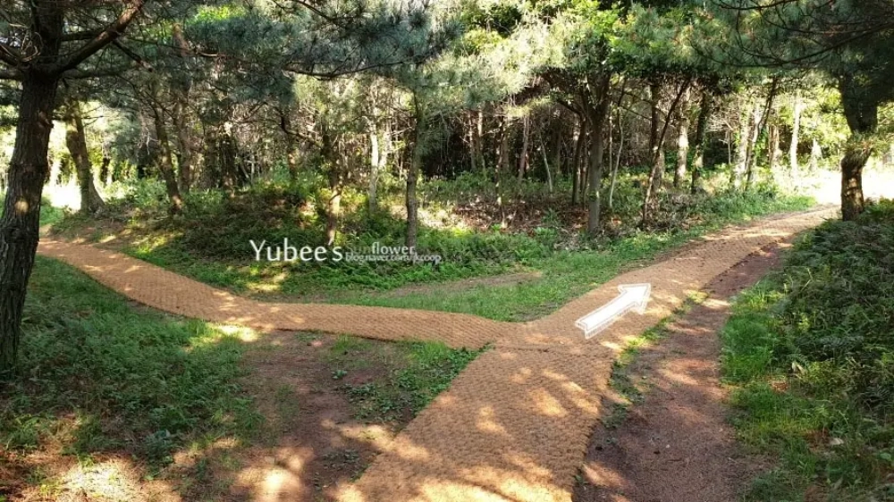 정상 분화구 갈림길