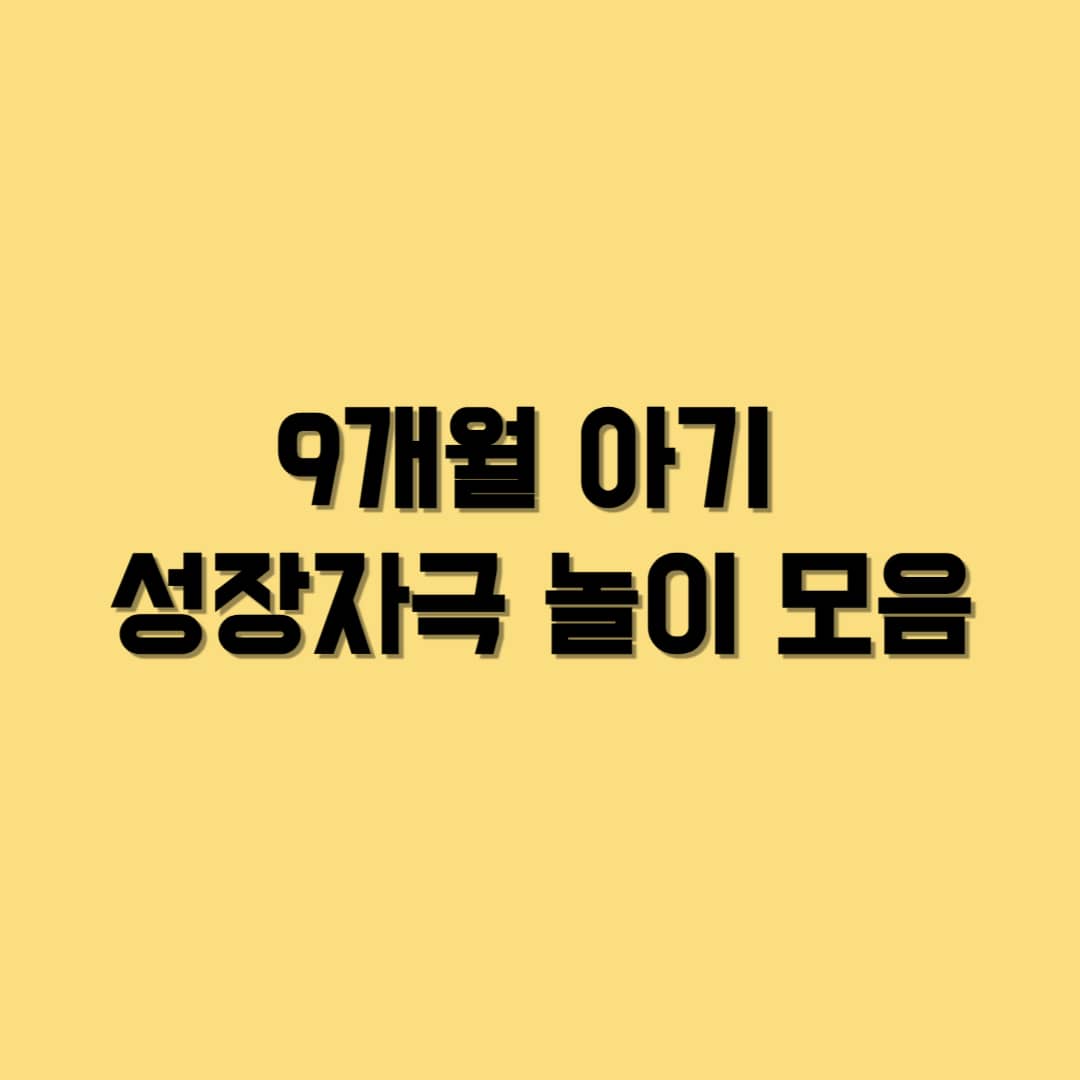 9개월 아기에게 꼭 필요한 감각·운동·의사소통 놀이 14가지