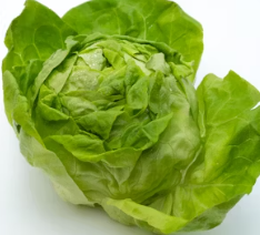 과민성 대장증후군에 좋은 음식 영양제 식단