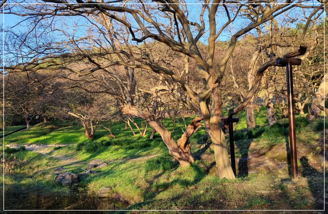 담양 가볼만한곳 베스트10 명옥헌 원림
