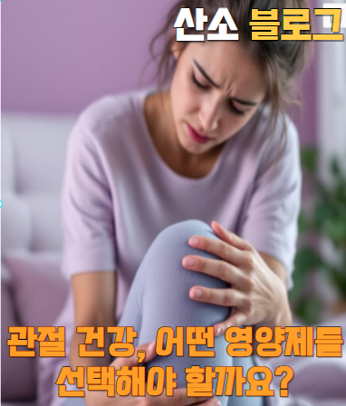 무릎 관절 건강