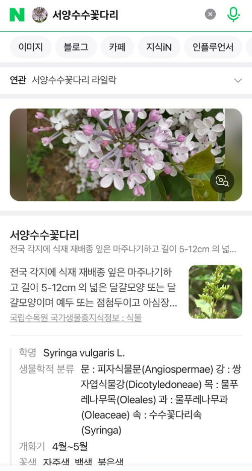 Alt 속성 문제 해결 설명 이미지