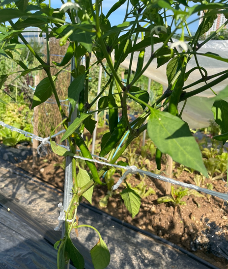 지주대