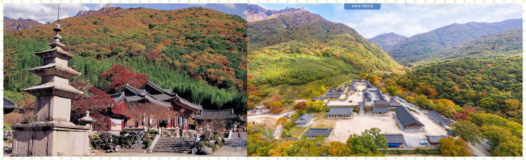 표충사