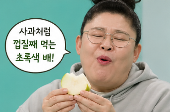 그린시스 배 정체는? 전참시 이영자 초록배 가격·구매처 총정리1