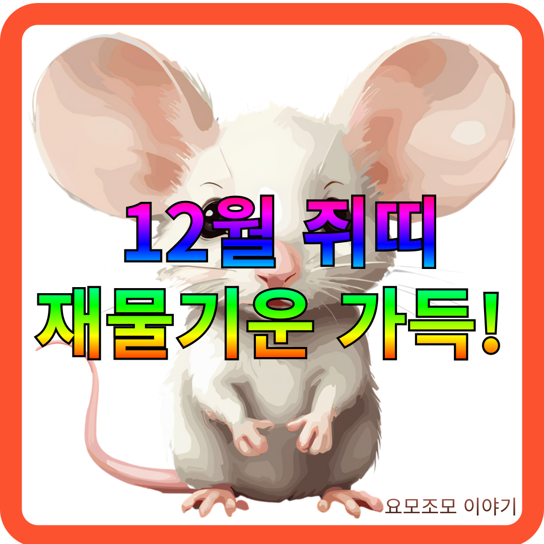 12월-쥐띠-운세