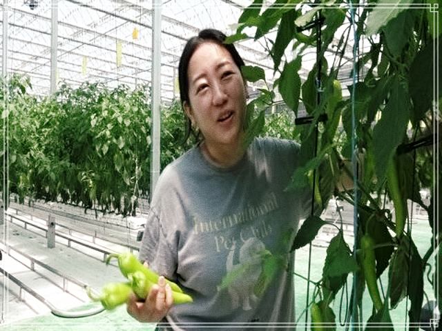 휴먼다큐 사노라면 592회 혈당 조절, 당뇨 잡는 모악산 당조고추 전국 온라인 택배 주문, 열혈 고추 엄마의 딸 부부 길들이기 사연 방송 정보 다시보기