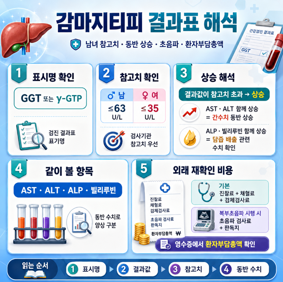 감마지티피 결과표 해석 인포그래픽으로 GGT 표기명, 남녀 참고치, 동반 상승 해석, 같이 볼 항목, 외래 재확인 비용과 읽는 순서를 교육용 게임 스타일로 정리한 이미지