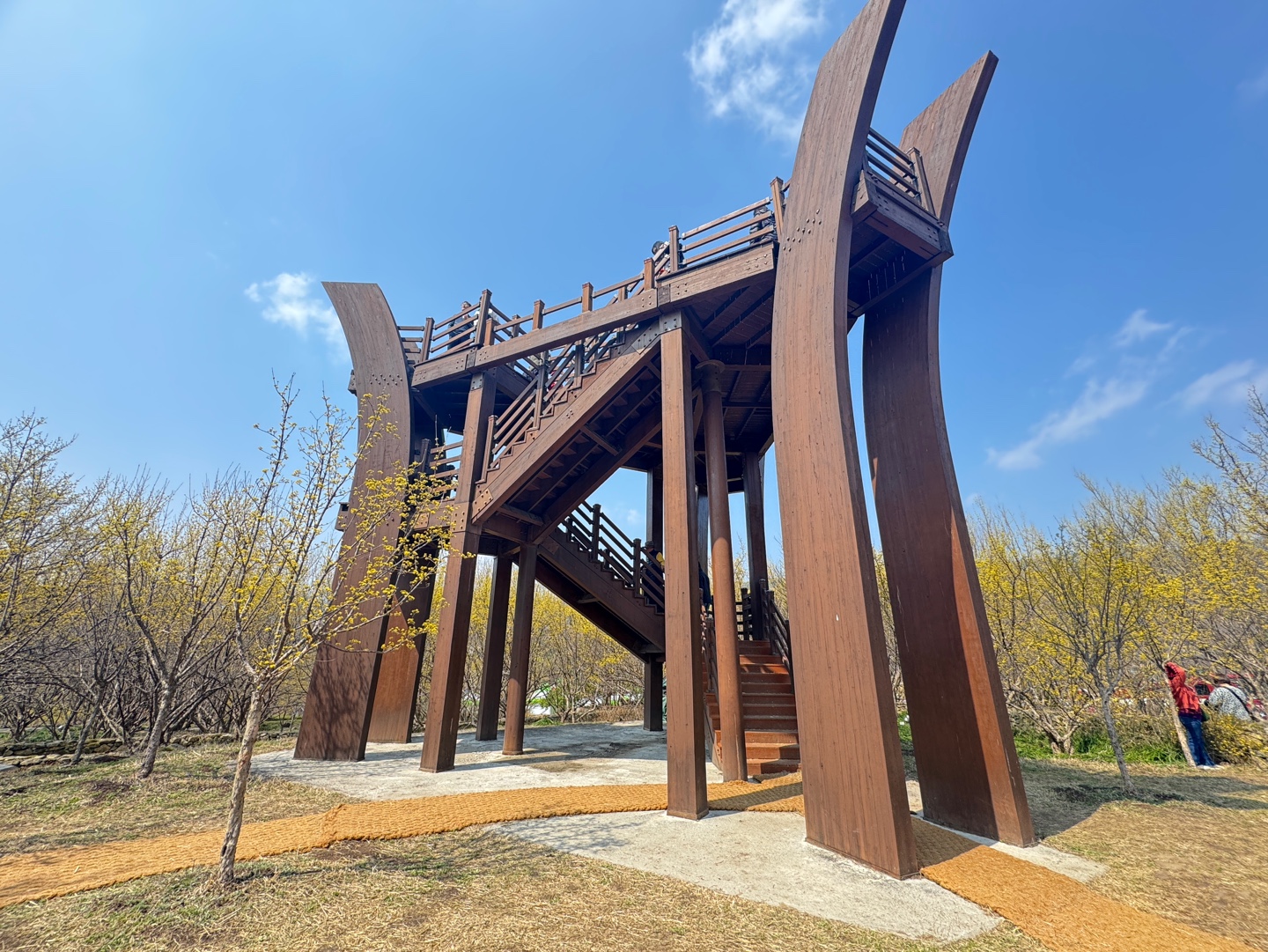 구례산수유축제