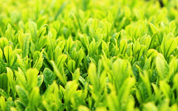 지방간줄이는방법