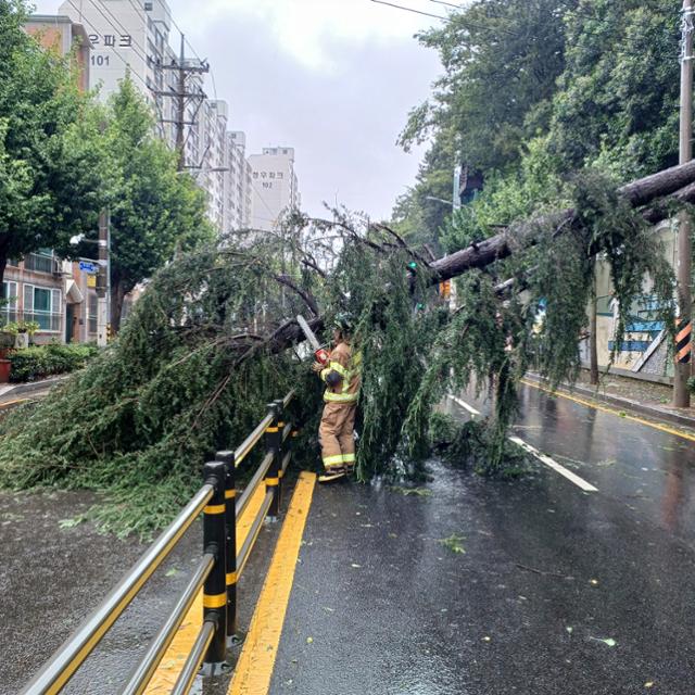태풍피해보상