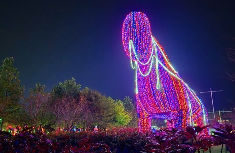 365일 빛나는 태안의 명소, 태안빛축제, 신청방법, 요금, 장소