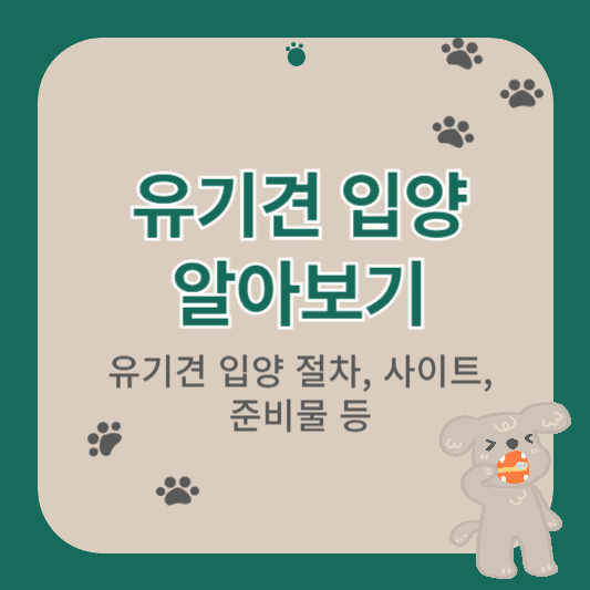 유기견 입양 방법
