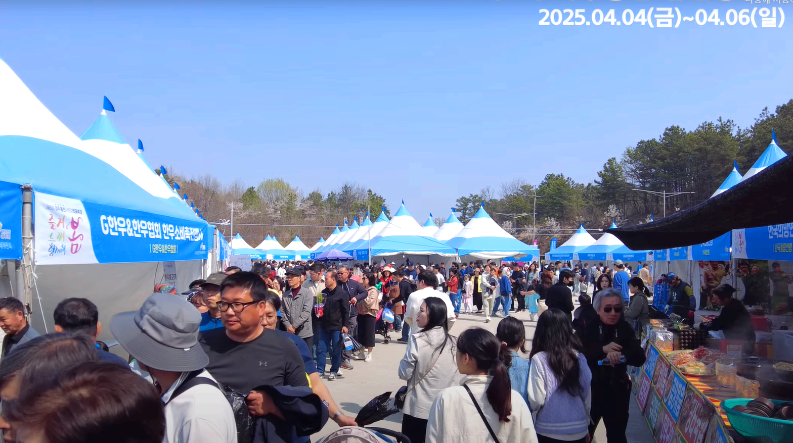 여주 흥천 남한강 벚꽃축제