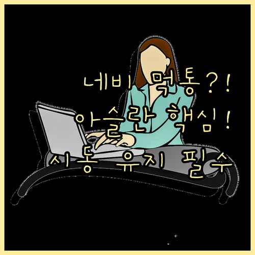 아슬란 네비 업데이트 중 시스템 오류..