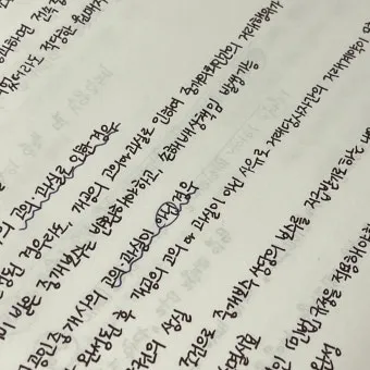 은혼식 축하 인사 가족 편지 멘트 세월을 담은 문장 모음_11