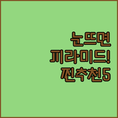 이집트 기자 피라미드 뷰 호텔 추천 ..