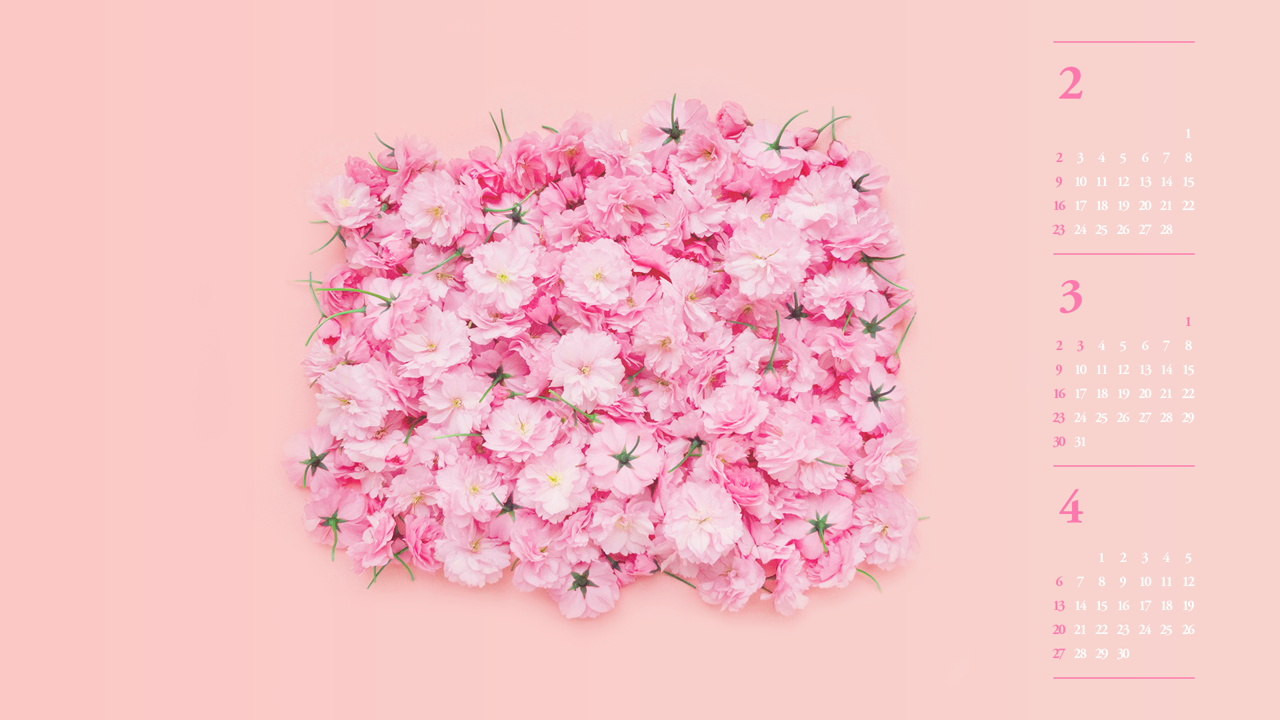 02 벚꽃 B - 2025년3월 노트북배경화면