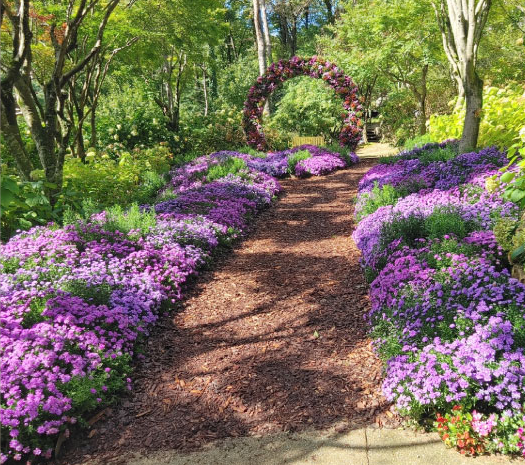 경기도 단풍 명소 곤지암 화담숲 