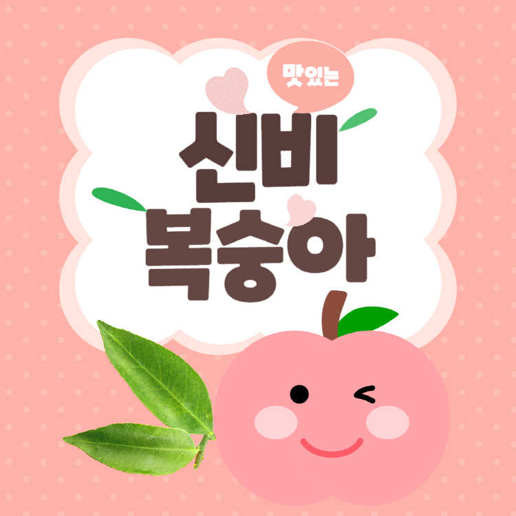 신비복숭아 후숙 효능 수확시기 완벽정리(+신비복숭아 보관법 먹는법)