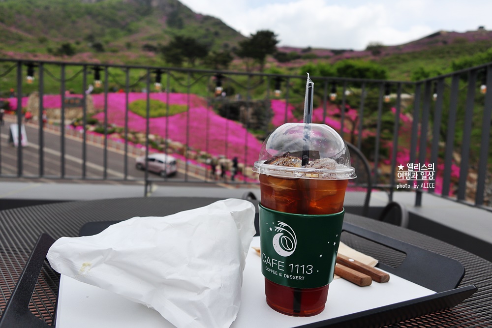 황매산 철쭉 개화시기, 셔틀버스, 산청 합천 5월 가볼만한곳