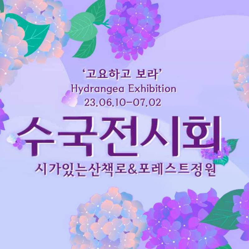 아침고요 수국전시회