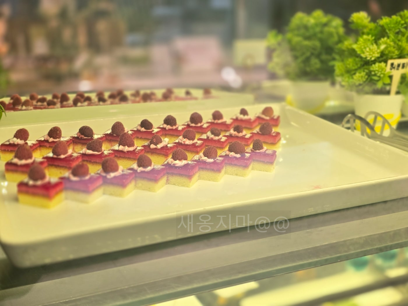 후식-조각케이크