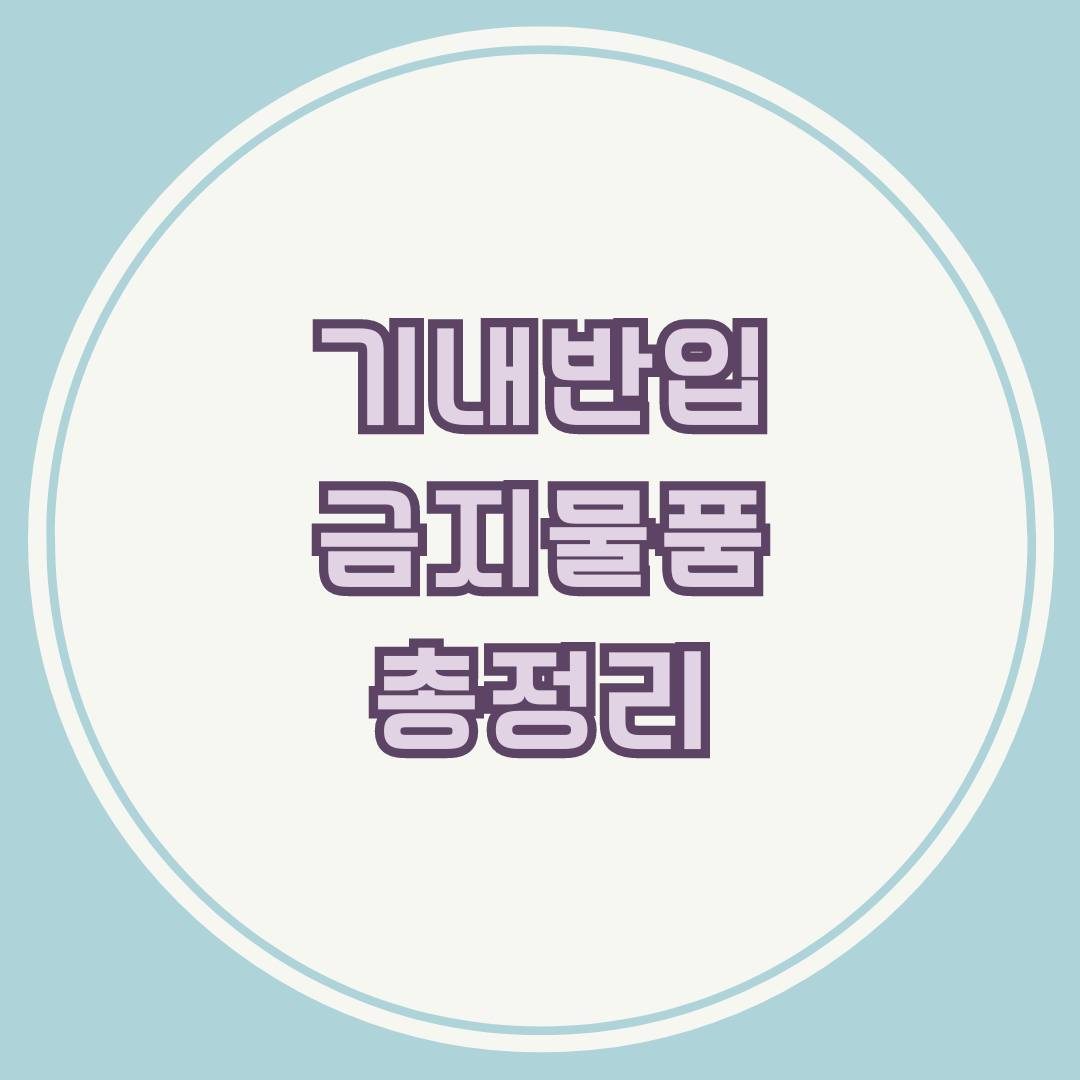 기내반입 금지물품 총정리