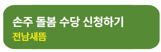 전남 손주 돌봄수당 신청 방법