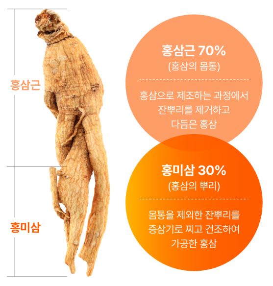 뉴티365 뉴티큐
