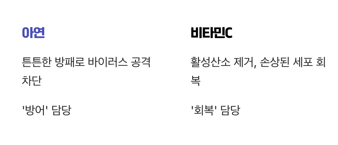 비타민C는 최고의 '파트너'