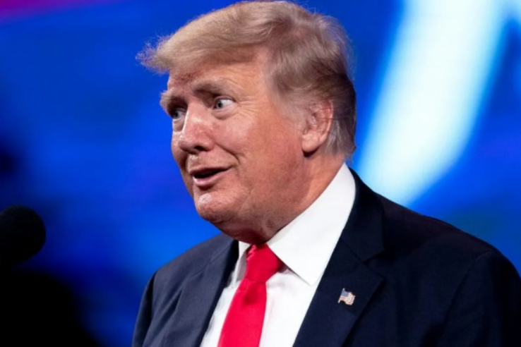 트럼프 관련주 나이