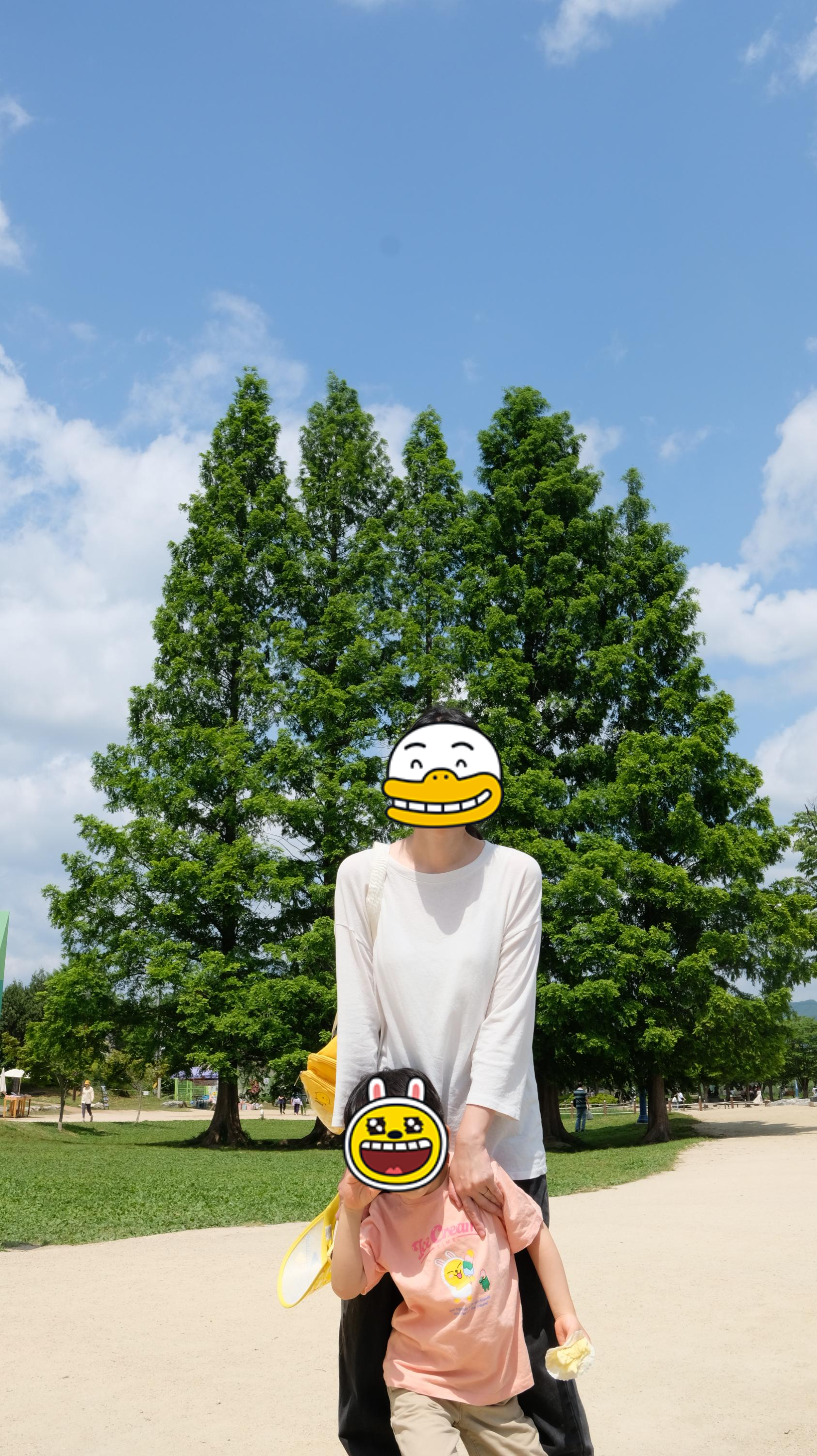 두물머리 나무앞