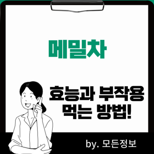메밀차 효능 부작용 먹는 방법