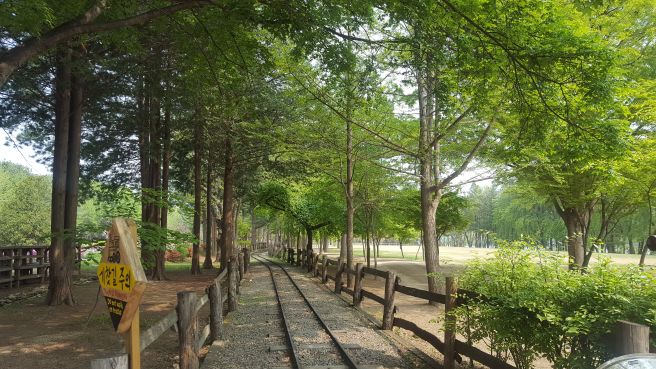 춘천 가족 여행 코스에 관한 그림