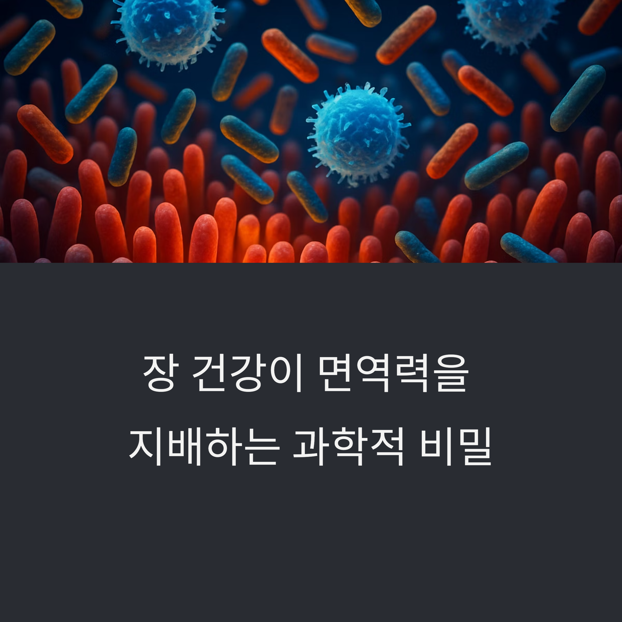 장 건강이 면역력을 지배하는 과학적 비밀