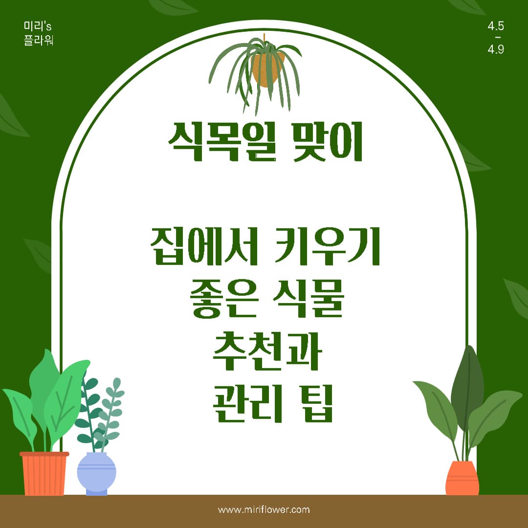 식목일 맞이 집에서 키우기 좋은 식물 추천과 관리 팁