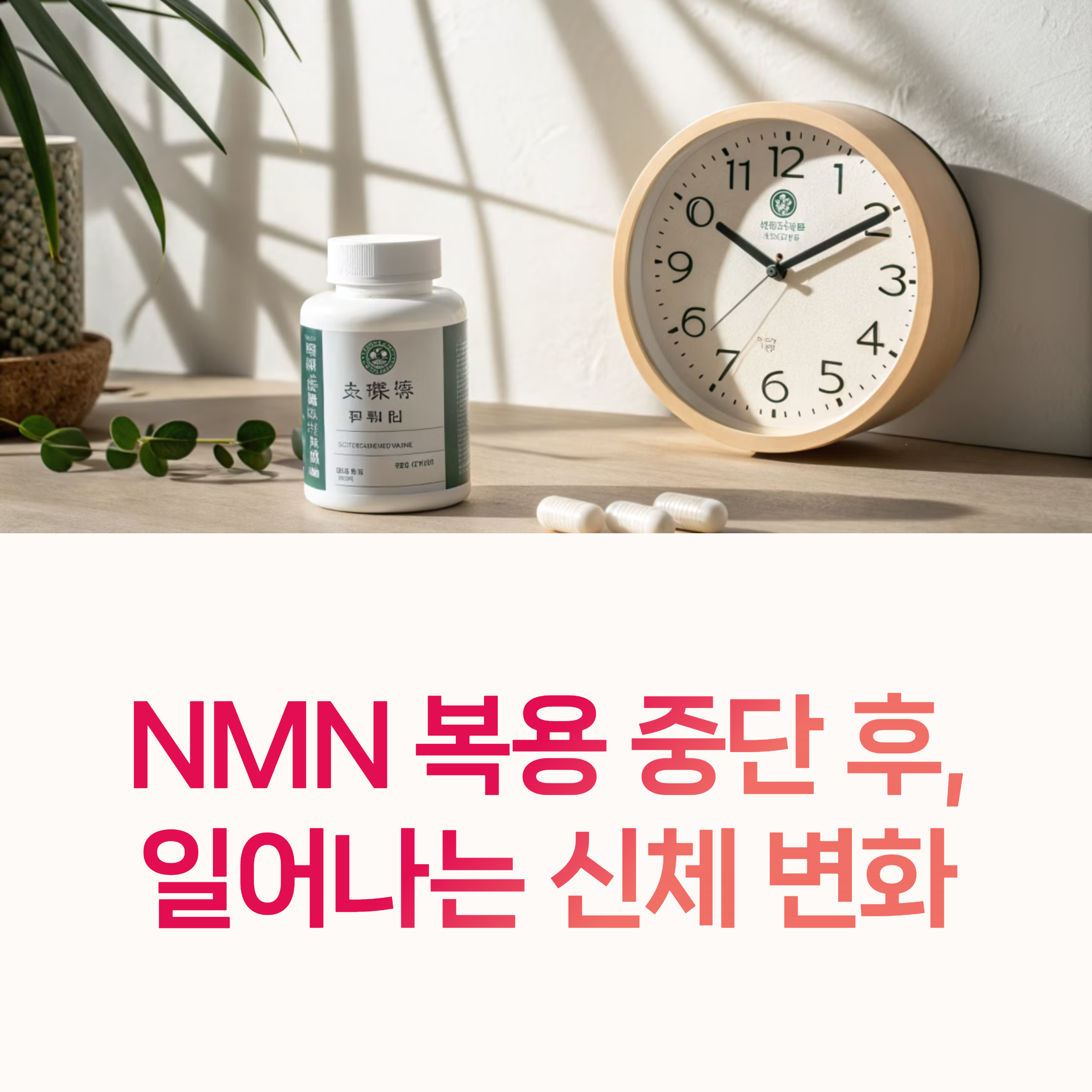 NMN, NAD+, 미토콘드리아,