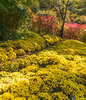 화담숲 테마별 사진