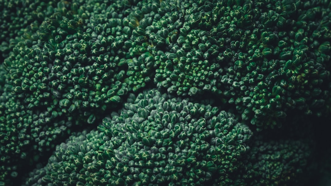Broccoli