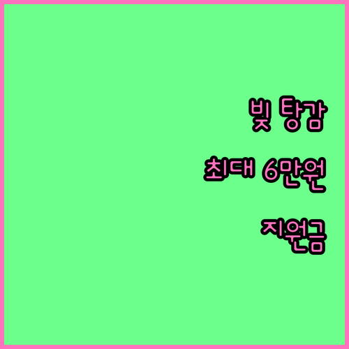 2025 전라남도 채무 조정 제증명서..