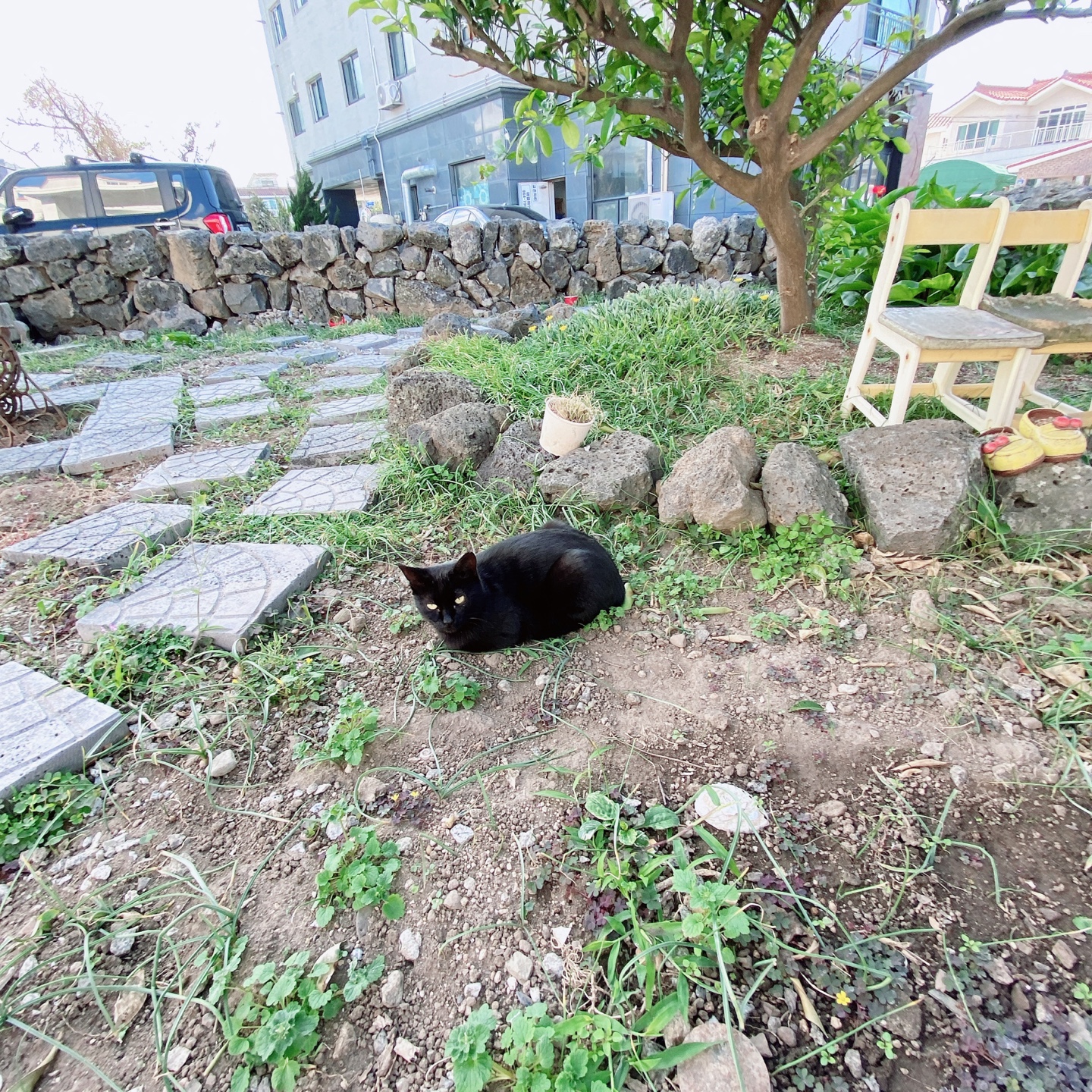 제주 애월 고내포구 보라지붕 주택개조 카페달력