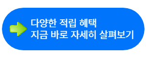 신한 딥드림 플래티넘